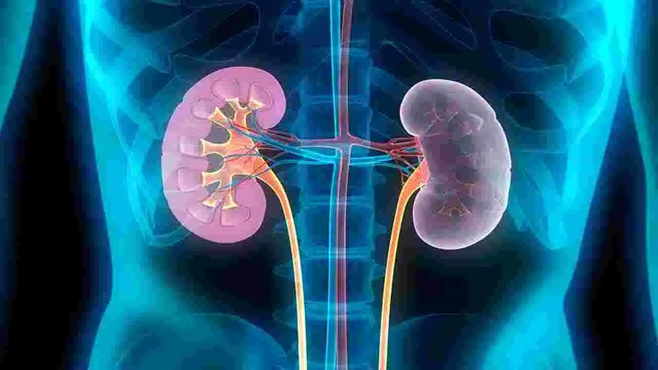 Health Tips: ఈ సమస్యలు ఉన్న వారు పొరపాటున కూడా గుమ్మడికాయ తినొద్దు..