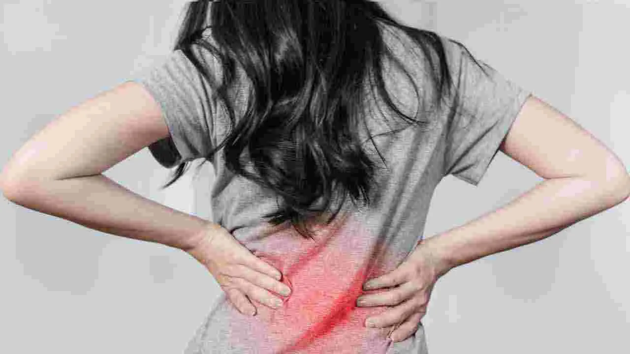 Kidney Stone Pain vs Back Pain: బ్యాక్ పెయినా? కిడ్నీ పెయినా? తేడా గుర్తించండిలా..!