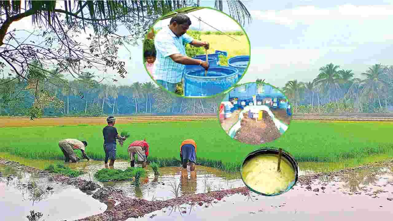 కరీంనగర్‌ :  ప్రభుత్వం ఆధ్వర్యంలో ప్రకృతి వ్యవసాయం