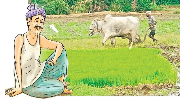 What are loans for tenant farmers? కౌలు రైతులకు రుణాలేవి?