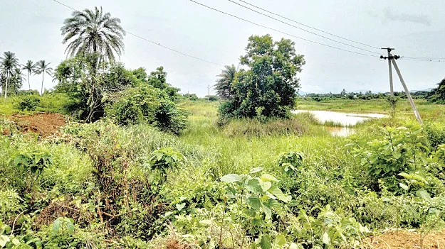 Lake Encroachment: రెండు చెరువులు.. 11 ఎకరాలు