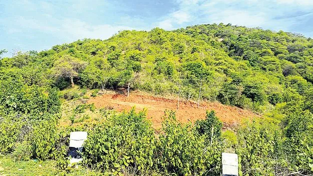 Land: భూ ఆక్రమణ