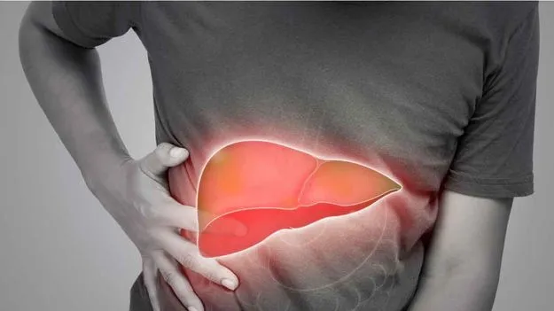 Liver Health: లివర్ హెల్త్ కోసం వర్షాకాలంలో తప్పక తీసుకోవాల్సిన 5 ఆహారాలు..