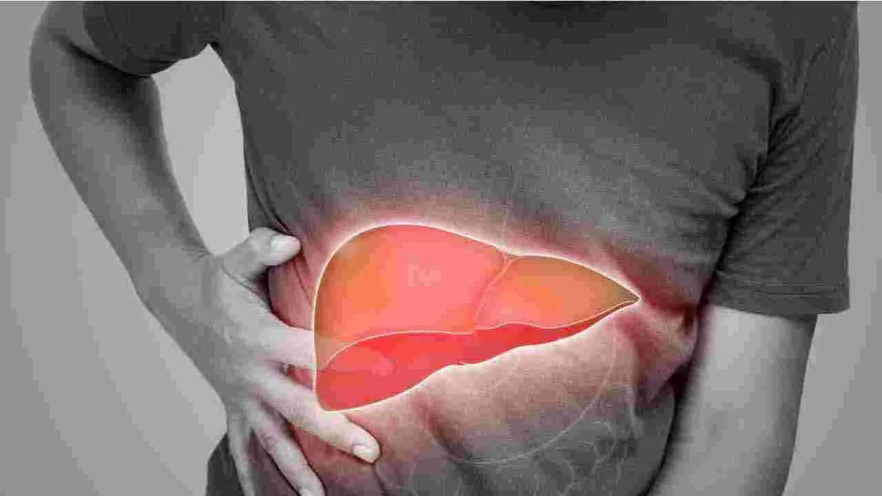 Liver Health: లివర్ హెల్త్ కోసం వర్షాకాలంలో తప్పక తీసుకోవాల్సిన 5 ఆహారాలు..
