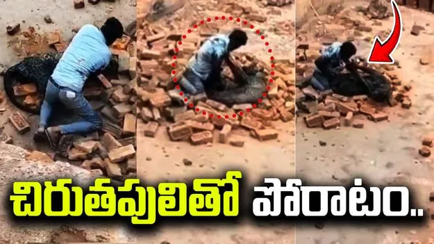 Viral Video: ఒట్టి చేతులతో చిరుతపులితో పోరాటం..