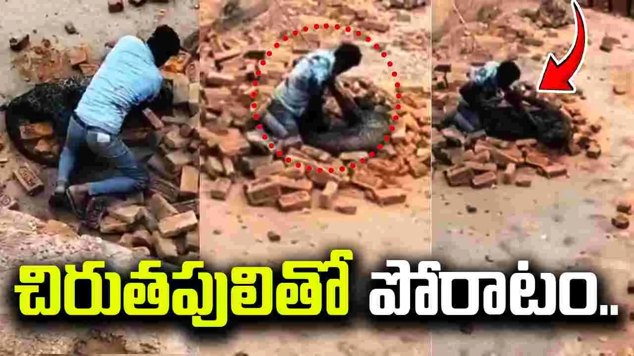 Viral Video: ఒట్టి చేతులతో చిరుతపులితో పోరాటం.. 