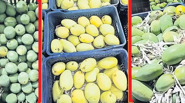 Totapuri: తోతాపురి నష్టాల్ని పూడ్చుతున్న టేబుల్‌ వెరైటీస్‌