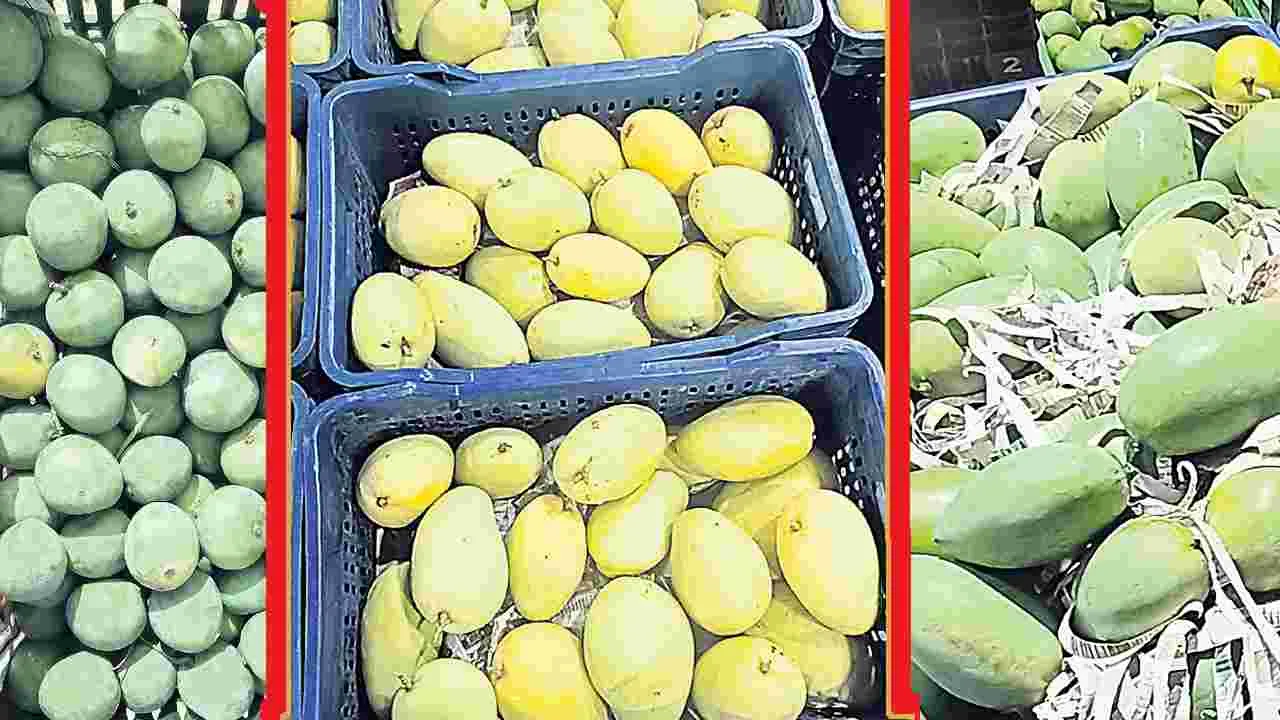Totapuri: తోతాపురి నష్టాల్ని పూడ్చుతున్న టేబుల్‌ వెరైటీస్‌