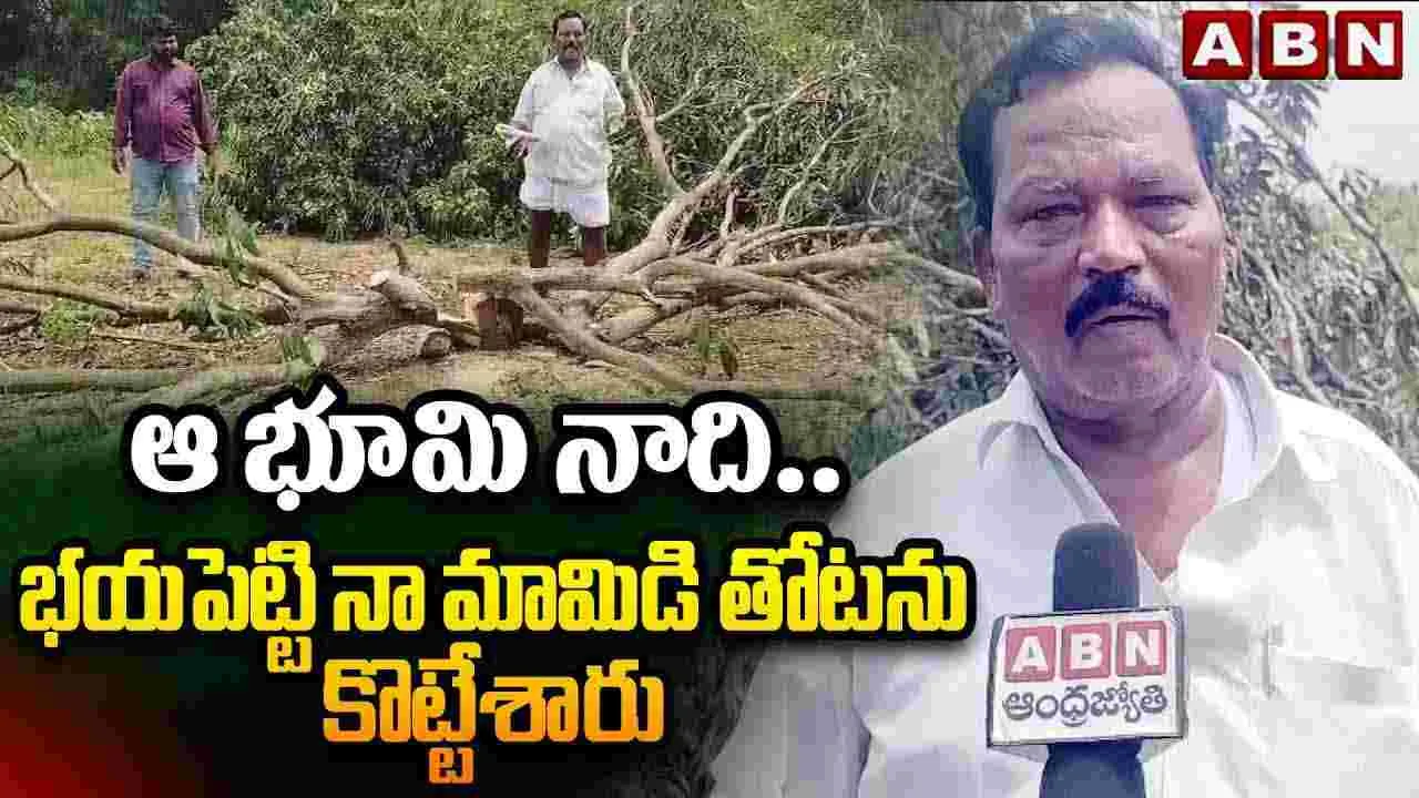 ఆ భూమి నాది..భయపెట్టి నా మామిడి తోటను కొట్టేశారు