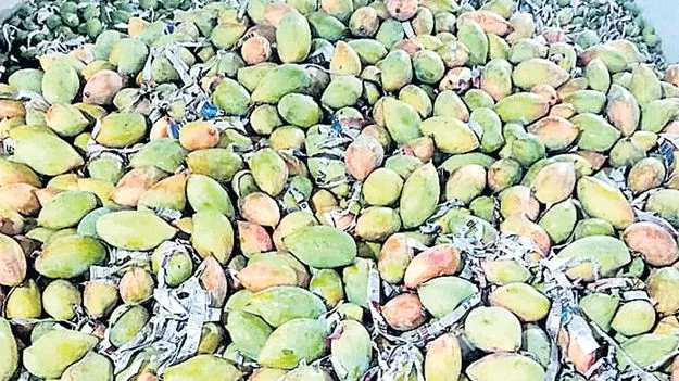 Pulp Mills: గుజ్జు పరిశ్రమల వద్ద ఉద్యోగ బృందాలు
