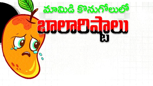 మామిడి రైతుకు మద్దతు ధర?