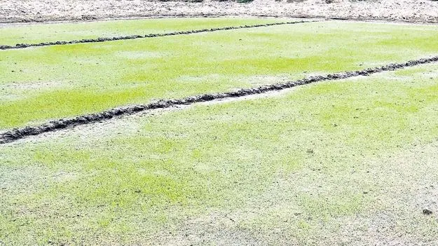  వరుణుడి కరుణ కోసం.. వరుణుడి కరుణ కోసం..