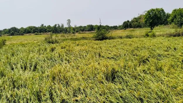 పరిహారం కోసం ఎదురు చూపులు..