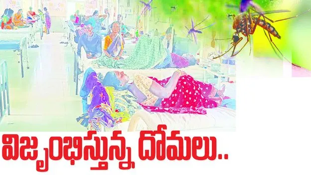 విజృంభిస్తున్న దోమలు...