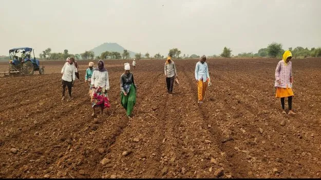 మురిపించి..ముఖం చాటేసి