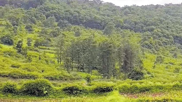 మన్యంలో మళ్లీ తుపాకీల మోత!