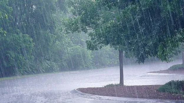 Rains: నాలుగు రోజులపాటు రాష్ట్రవ్యాప్తంగా వర్షాలు