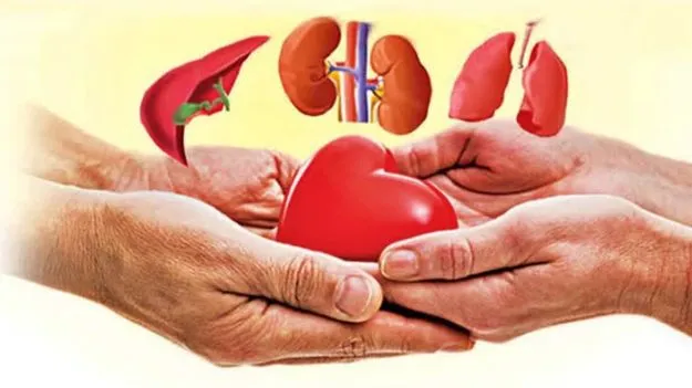 Chennai: తాను చనిపోతూ.. మరో ముగ్గురికి..