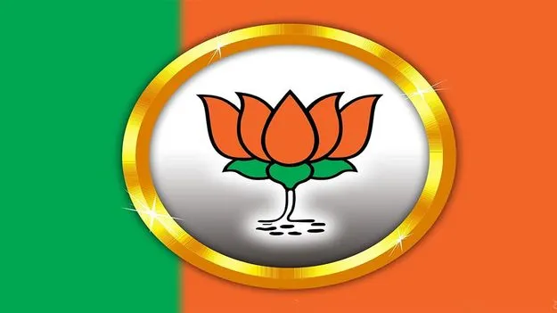 BJP: టీవీకే నుంచి వచ్చే వార్త కోసం వేచిఉన్నాం..