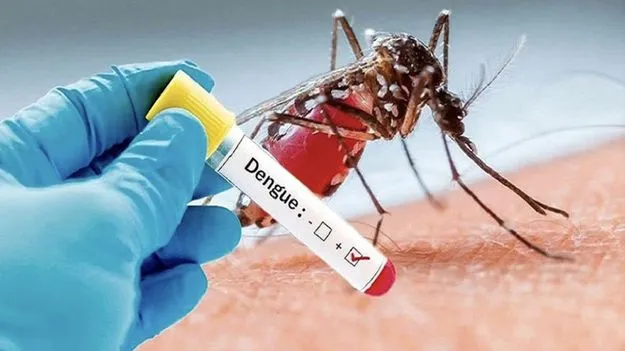 Dengue: వేగంగా ప్రబలుతున్న డెంగ్యూ