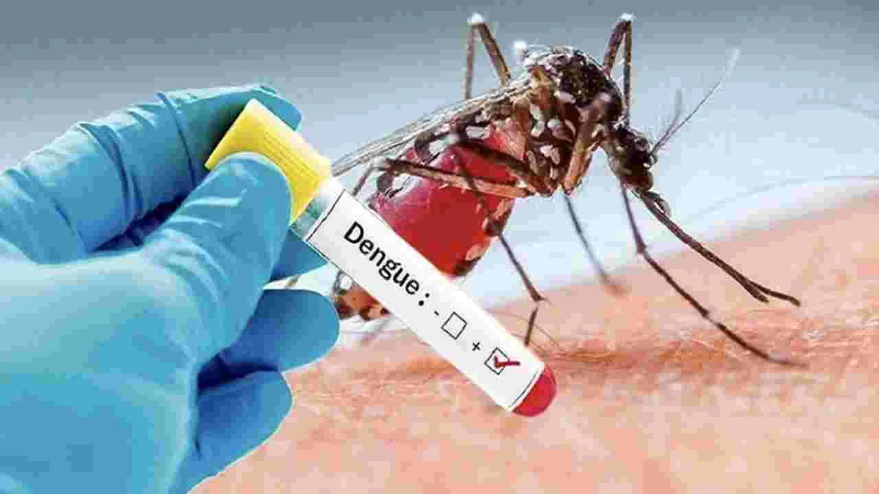 Dengue: వేగంగా ప్రబలుతున్న డెంగ్యూ