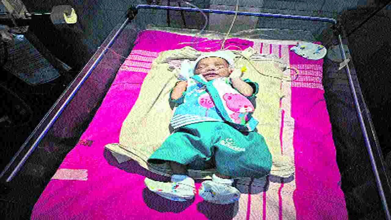 Chennai: ఏ తల్లి కన్నబిడ్డో.. చెట్ల పొదల్లో నవజాత శిశువు
