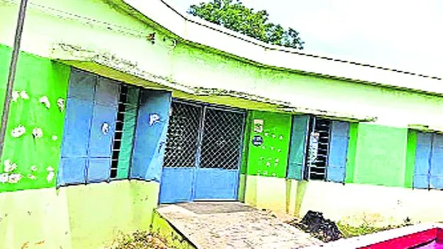 School: ఒకే విద్యార్థిని కోసం సర్కారు బడి..