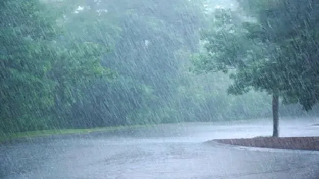 Rains: 11 జిల్లాలకు భారీ వర్షసూచన