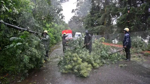 Heavy Rains: నీలగిరిలో కుండపోత.. పడిపోయిన విద్యుత్‌ స్తంభాల