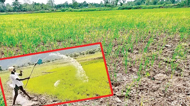 Kharif of hardship: కష్టాల ఖరీఫ్‌