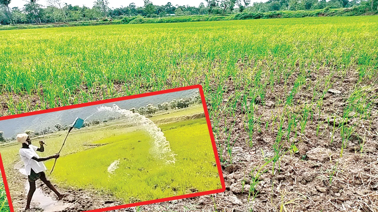 Kharif of hardship: కష్టాల ఖరీఫ్‌