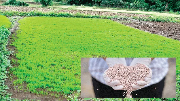 How does soil grow? భూసారం పెరిగేదెలా?