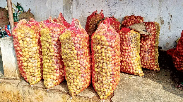 Lemon  నిమ్మ ధర పైపైకి.. 