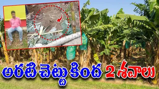 Banana Grove: భార్య,అత్తను చంపి అరటి చెట్టుకింద పూడ్చిన యువకుడు