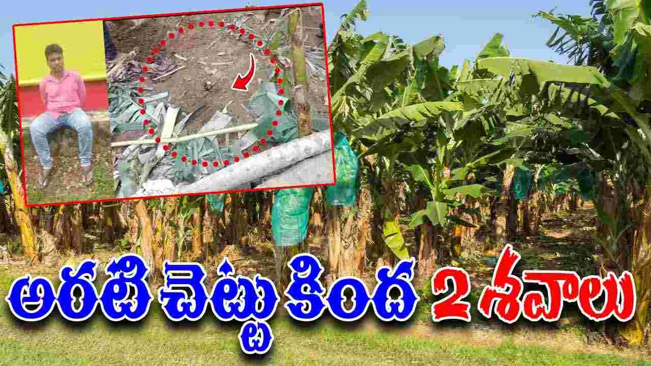 Banana Grove: భార్య,అత్తను చంపి అరటి చెట్టుకింద పూడ్చిన యువకుడు