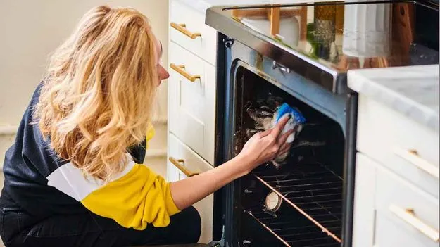 Cleaning Tips: ఓవెన్‌పై మొండి మరకలు ఈ చిట్కాలతో నిమిషాల్లో వదిలిపోతాయ్..! 