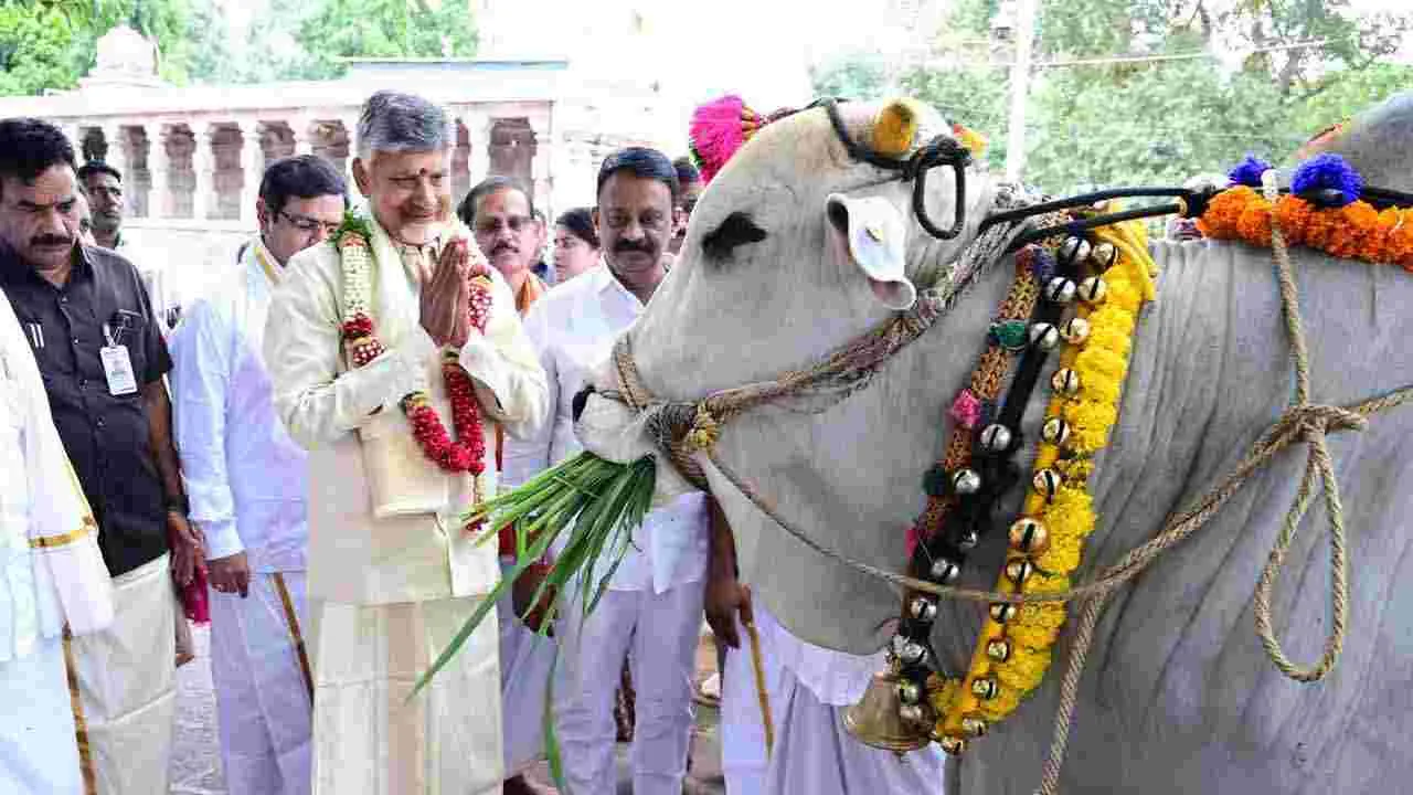 Chandrababu Srisailam: శ్రీశైలంలో సీఎం చంద్రబాబు..  భ్రమరాంబ మల్లికార్జునులకు ప్రత్యేక పూజలు..