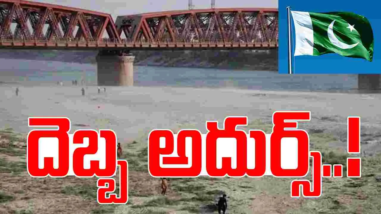 Pakistan: సింధు జలాల ఒప్పందం నిలిపివేత.. పాక్‌లో పరిస్థితి ఎలా ఉందంటే..