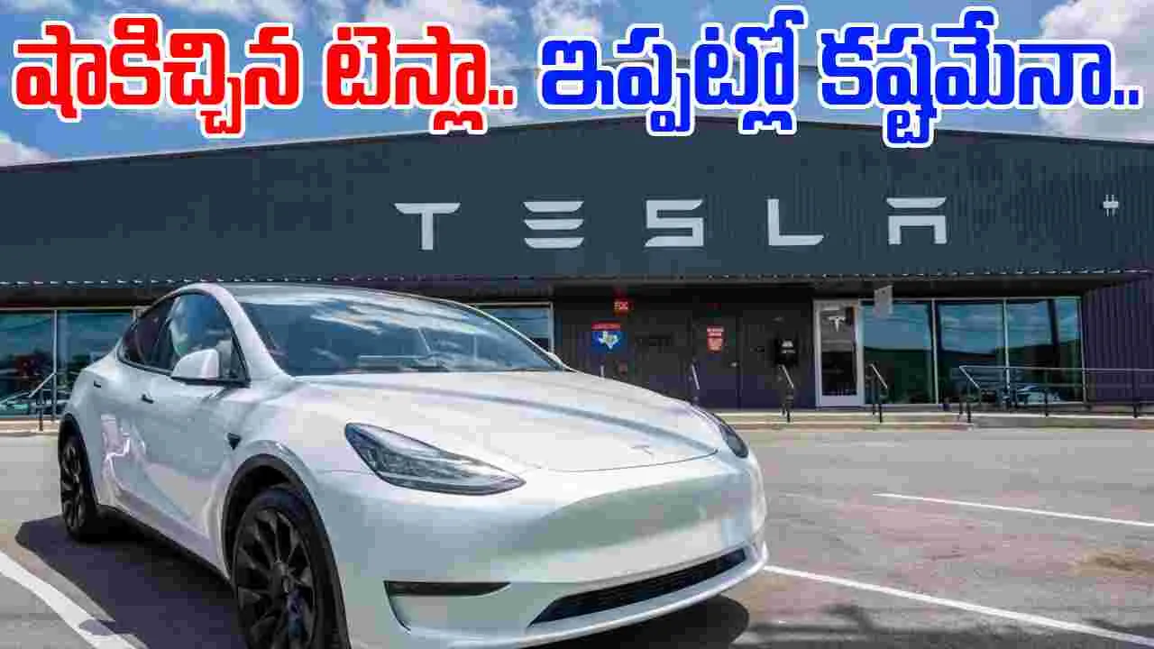 Tesla Cars: ఇండియాలో టెస్లా కార్ల తయారీ ఉందా లేదా.. కేంద్ర మంత్రి ఏమన్నారంటే..