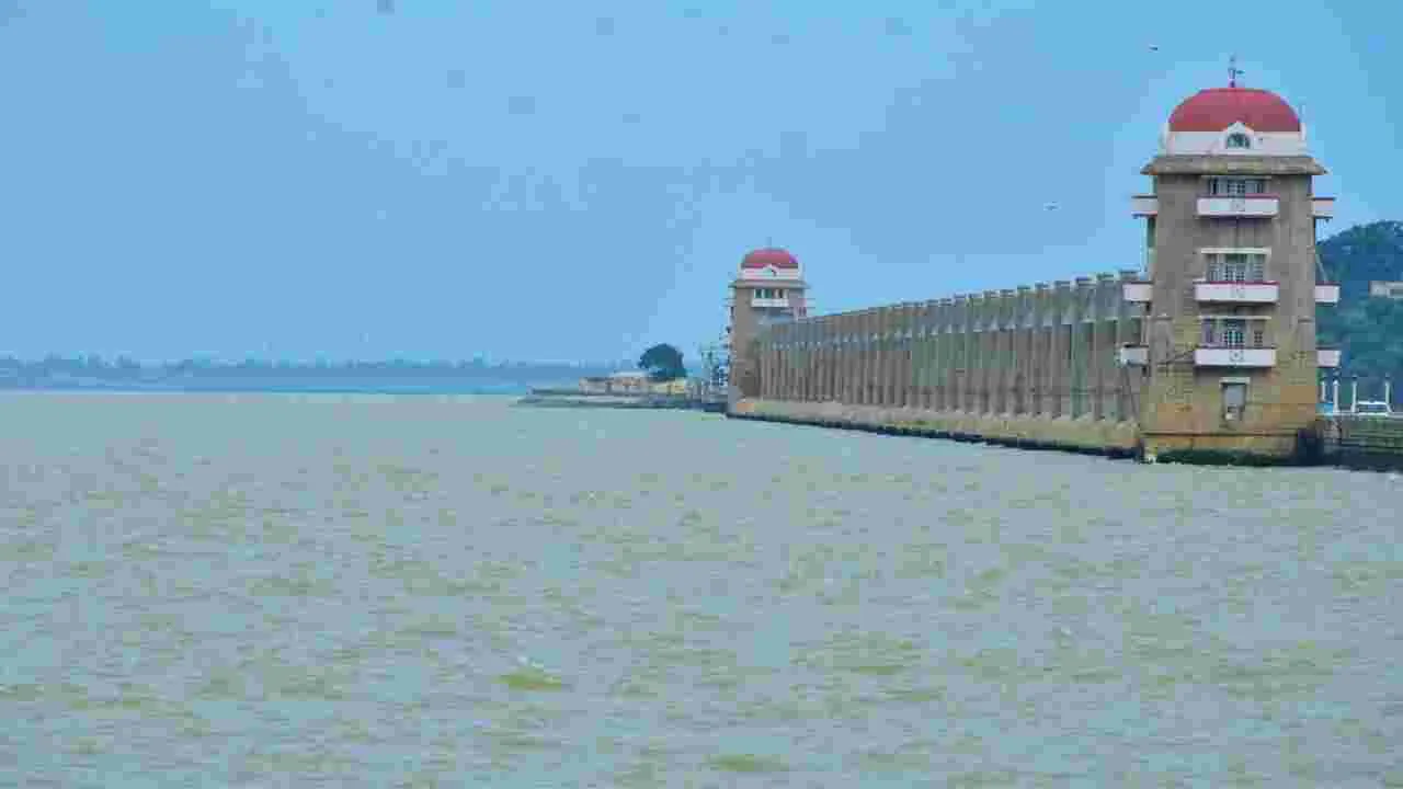 Tungabhadra: ఉత్సాహంగా తుంగభద్ర రైతు.. వరినారు సిద్ధం చేసుకుంటున్న అన్నదాత 