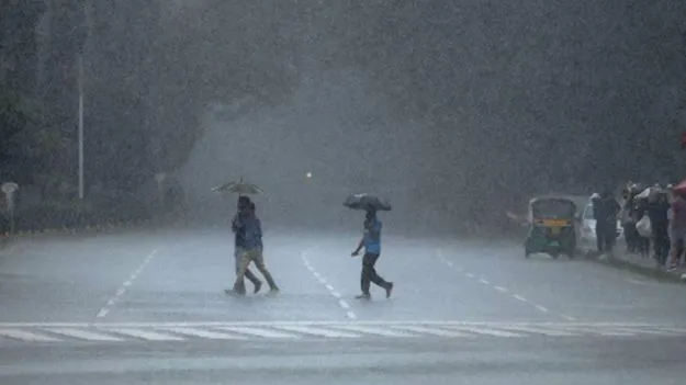 Rains: పశ్చిమ కనుమల్లో ఆగని వర్షం..