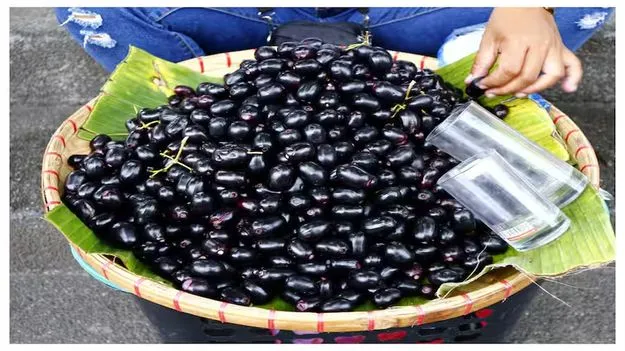 Bengaluru News: ఆ.. రైతును అల్లనేరేడు ఆదుకుంది..