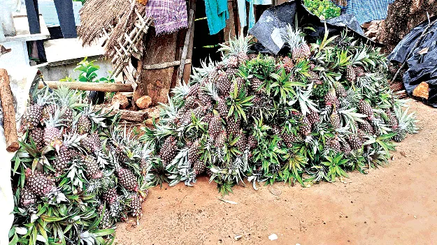 15 Here... 35 There ఇక్కడ 15.. అక్కడ 35