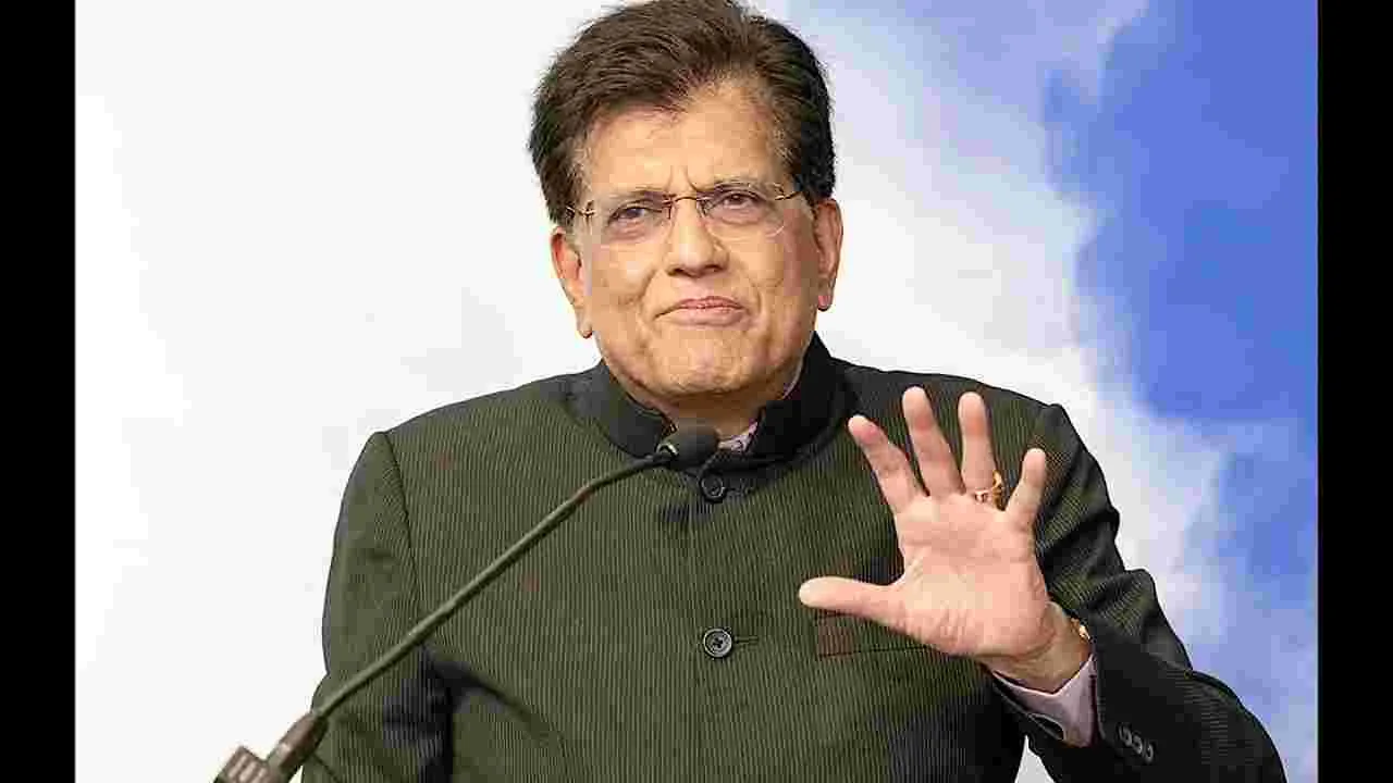 Piyush Goyal: ఏపీ పారిశ్రామిక కారిడార్లలో ప్రత్యేక జోన్లు