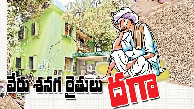 వేరు శనగ రైతులు దగా