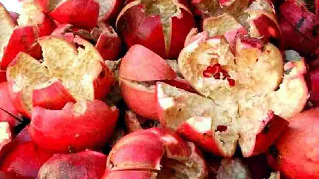 Pomegranate Health Tips: దానిమ్మ తొక్కలను పక్కన పడేస్తున్నారా.. ఇలా చేస్తే ఎన్ని లాభాలో తెలుసా..