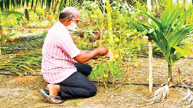 Natural Farming… Highly Rewarding  ప్రకృతి సాగు.. బహుబాగు