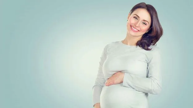 Pregnancy Tips: వర్షాకాలంలో గర్భిణీలకు ఈ 7 వ్యాధులు వచ్చే ఛాన్స్.. బీ కేర్‌ఫుల్..