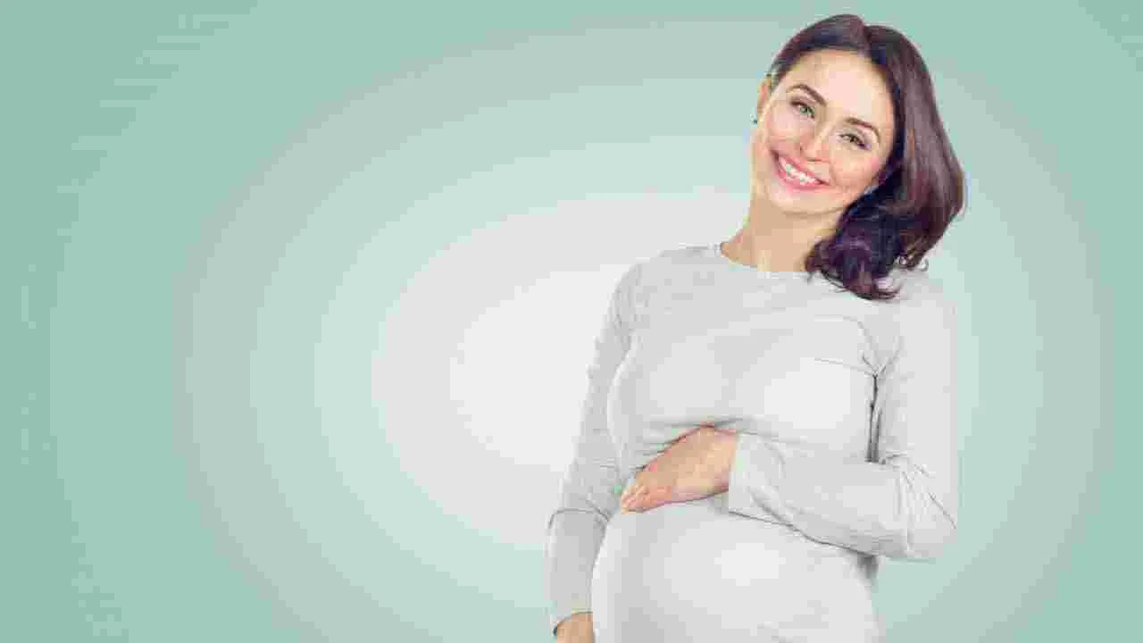 Pregnancy Tips: వర్షాకాలంలో గర్భిణీలకు ఈ 7 వ్యాధులు వచ్చే ఛాన్స్.. బీ కేర్‌ఫుల్..