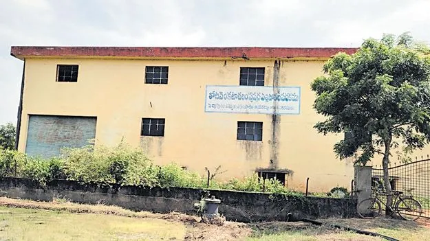 ఈసారి పుష్కలంగా!